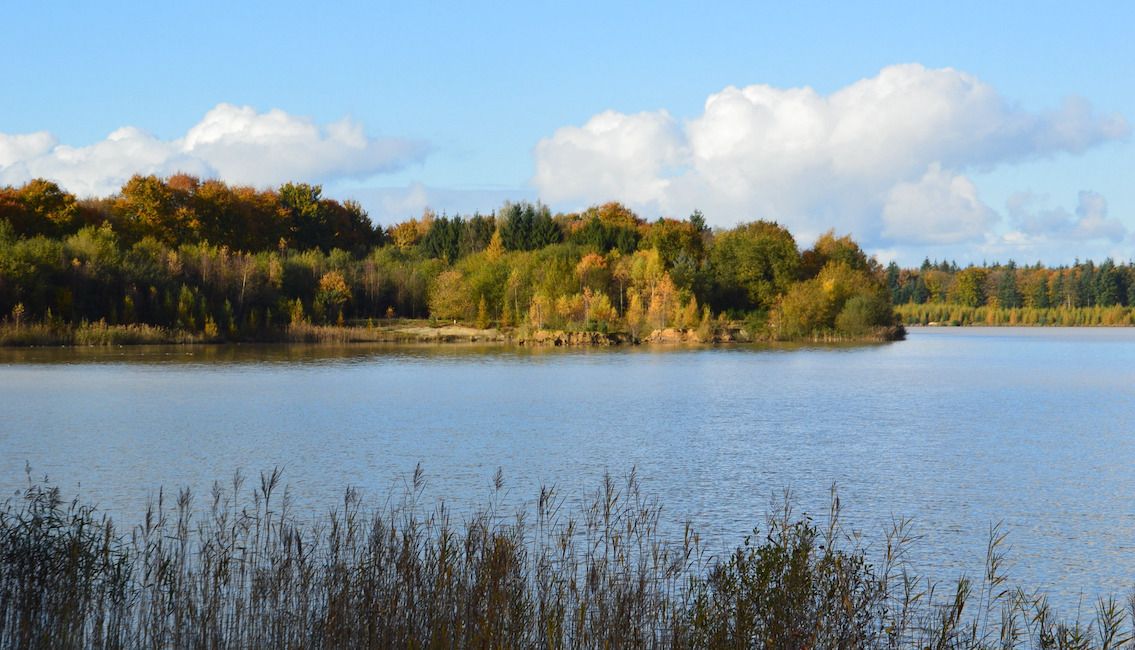 voshuys lake view
